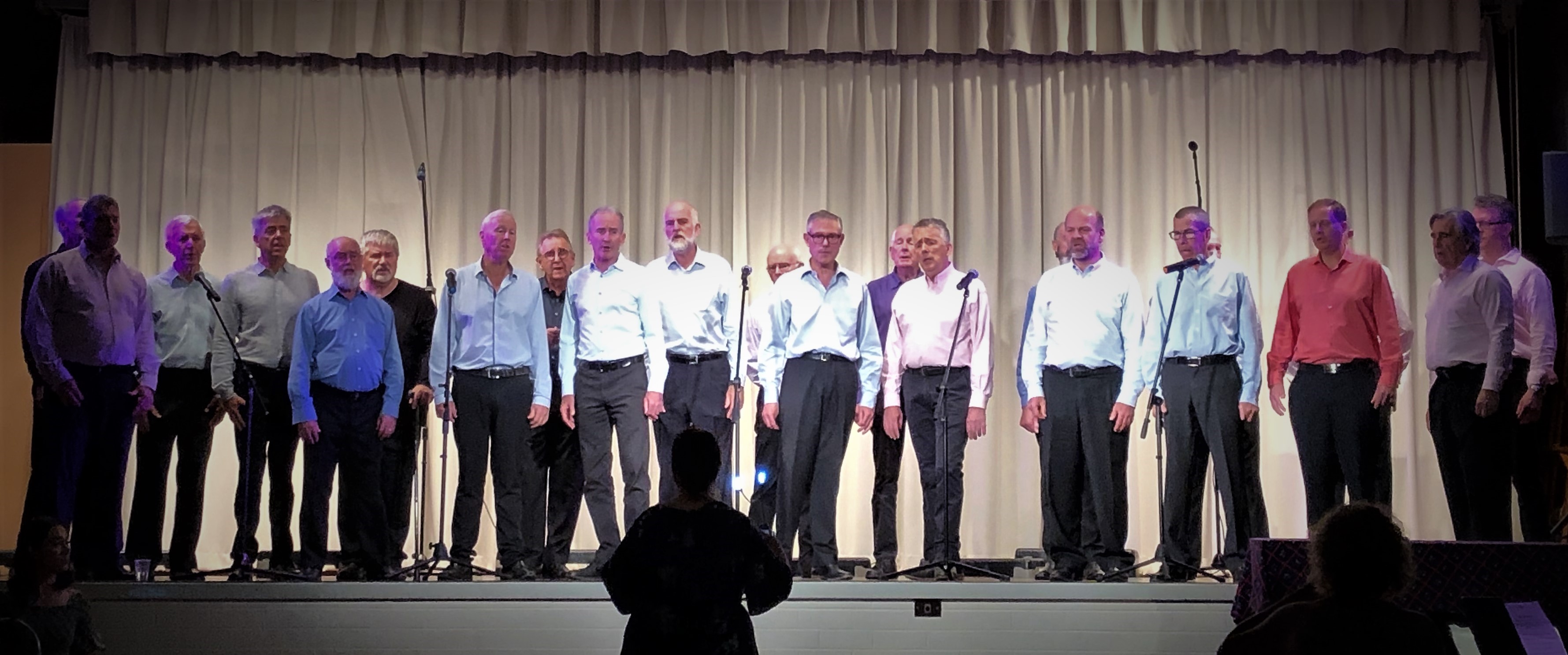 VoiceMale Men's Choir performing in concert on stage